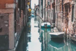 吉林省小学生篮球联赛决赛盛启,青春活力尽显吉林省小学生篮球联赛决赛